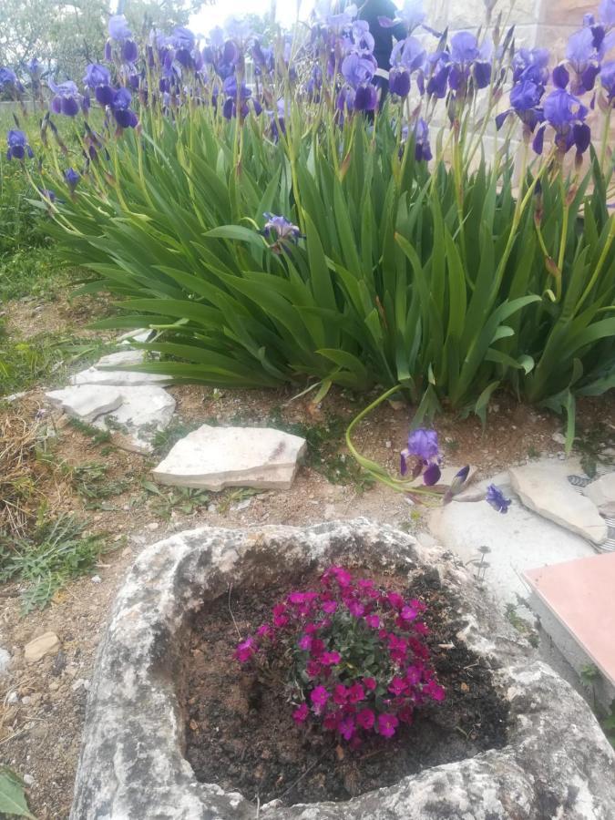 Castello Flower Apartment Kaštela المظهر الخارجي الصورة